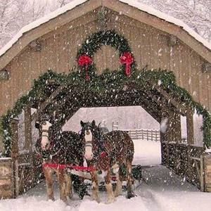 Meet your Posher, Lauralea